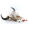 Image 3 : Western Painted Bull Skull