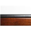 Image 3 : Winchester Model 77 .22 LR. 32503