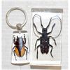 Image 1 : LARGE PRESEVERD BUG KEY CHAIN AND PAPER WEIGHT