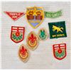 Image 1 : 9 VINTAGE BOY SCOUT BADGES