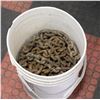 Image 1 : 5 GALLON BUCKET FULL OF CHAINS