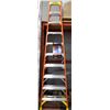 Image 1 : NEW 10 FOOT WERNER FIBREGLASS STEP LADDER