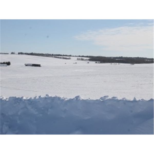 LOT #1 - 80 ACRES M/L (S 1/2 OF 33-54-16-W4M