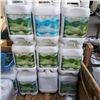 Image 1 : 8 NEW JUGS OF GREEN SKY - FORTIFY LIQUID FERTILIZER SOIL BOOSTER 4 LITERS EACH