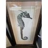 Image 2 : 2 SEAHORSE HAND SIGNED AND NUMBERED LIMITED EDITION PRINTS