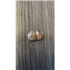 Image 2 : NATURAL GOLDEN SHEEN ROSE-CUT SAPPHIRE STONE 20.74CT