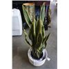 Image 2 : ARTIFICIAL SNAKE PLANT