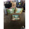 Image 1 : 3 OIL ON BOARD MOUNTAIN LANDSCAPES BY MRS. B JOHNSTON