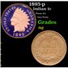 1895-p Indian Cent 1c Grades ng