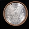 Image 3 : ***Auction Highlight*** 1885 & CC Uncirculated Morgan Dollar Shotgun Roll (fc)