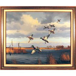 Marcel Bordei, Mallard Ducks, Wildlife Painting