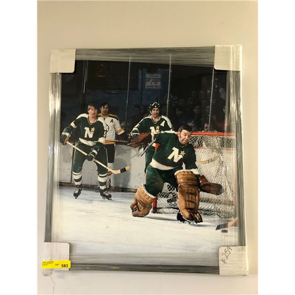 Minnesota North Stars Framed Print - approx. 28 x 32in