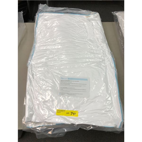 Two Recci Standard Sized Pillows