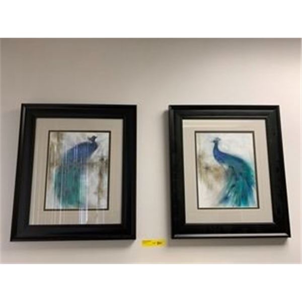 Group of two Peacocks - Framed Prints - 21in x 24in each