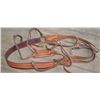 Image 6 : Ray Holes, Grangeville, ID, custom made saddle
