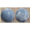 Image 1 : loop back conchos