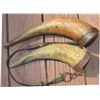 Image 1 : antique wagon grese horns