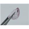 Image 2 : VERY RARE PINK KUNZITE 13.5 ct.
