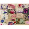 Image 4 : Airbrushed 200+ Cards