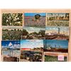 Image 2 : Cotton & Related 80+ Cards