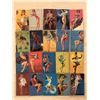 Image 1 : 20 Pin Up Girls Mutoscope Arcade Cards
