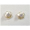 Image 1 : 14K DIAMOND(0.1CT) MOTHER OF PEARL EARRINGS