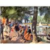 Image 1 : Renoir - La Grenouillere