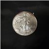 Image 1 : 2013 1 OZ. American Silver Eagle