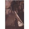 Image 7 : E.S. Curtis 1868-1952 Camp in the Forest-Kutenai