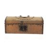 Image 1 : Rare 1806 Horsehide Covered Salesman Trunk