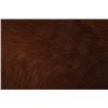 Image 9 : Trophy Moose Double Felt Back Hide Rug