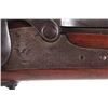 Image 7 : Springfield Model 1884 .45-70 Saddle Ring Carbine