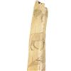 Image 8 : C. 1860 Crow Elk & Buffalo Scrimshaw Antler Quirt