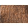Image 11 : Dark Brindle Striped Brown Premium Cowhide