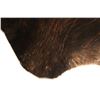 Image 3 : Dark Brindle Striped Brown Premium Cowhide