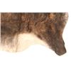 Image 5 : Dark Brindle Striped Brown Premium Cowhide