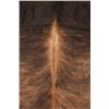 Image 7 : Dark Brindle Striped Brown Premium Cowhide