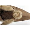 Image 8 : C. 1900 Eskimo Inuit Model Kayak Sealskin Covered