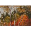 Image 8 : Edward J. Ray Original Autumn Landscape Painting