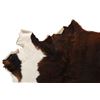 Image 2 : Exotic Tri-Colored Premium Cowhide With Tail