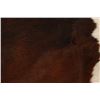 Image 8 : Exotic Tri-Colored Premium Cowhide With Tail