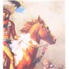 Image 9 : Ltd. Ed. When The Land Was Theirs By McCarthy