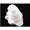 Image 2 : Large China Clam Seashell Half