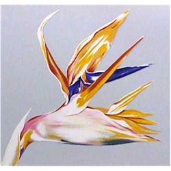 Lowell Blair Nesbitt, Bird of Paradise, Serigraph 