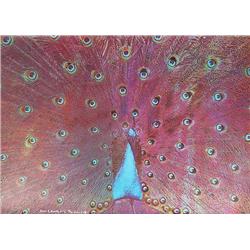 Colin Self, Power and Beauty, Peacock Serigraph