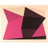Image 2 : Jean-Marie Haessle, Two Abstract Op-Art Serigraphs
