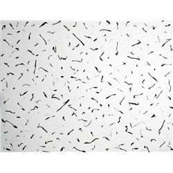 Seo-Bo Park, Ecriture, Korean Lithograph