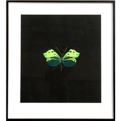 Damien Hirst, Aquatint Etching from Souls on Jacob's Ladder