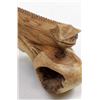 Image 2 : Indonesian Carved Chinaberry Wood Burl Lizard