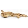 Image 5 : Indonesian Carved Chinaberry Wood Burl Lizard